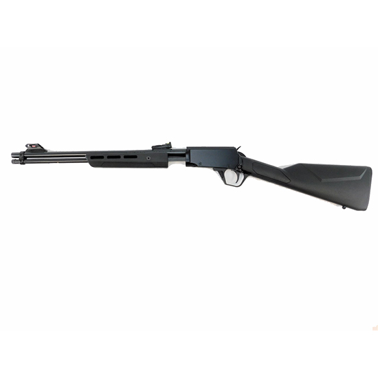 ROSSI GALLERY 22LR 18